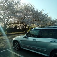 Connie🇯🇵 (@rippupippu) 's Twitter Profile Photo