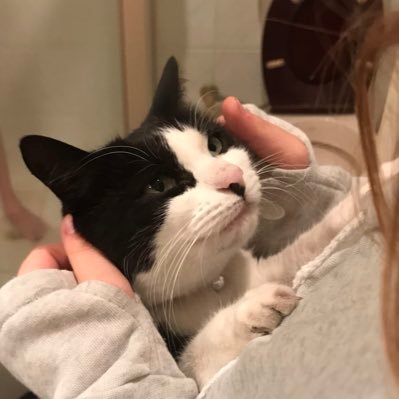 EmilyCirillo78's profile picture. 