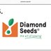 Diamond Seeds (@SeedsDiamond) Twitter profile photo