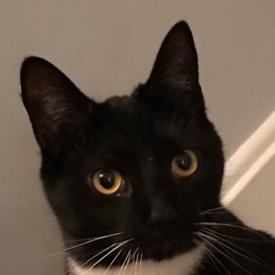 jmbush44's profile picture. Just a man in search of the truth. Don’t tell me what to think.