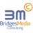 Bridges M Consulting
