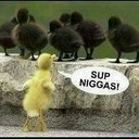 Freddie Bartley - @JerBar5255 - Twitter