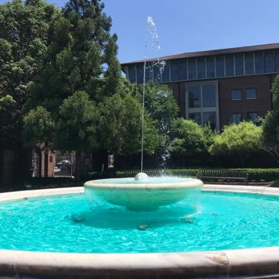 dandelions126's profile picture. eCommerce, Digital Marketer, Brand Strategies & Innovation, Strong Interests in PE & VC.