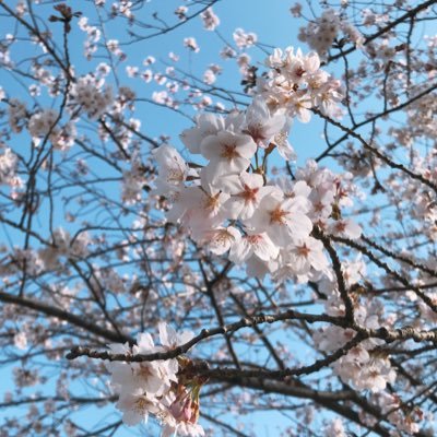教育を変えたい フォロバ100%