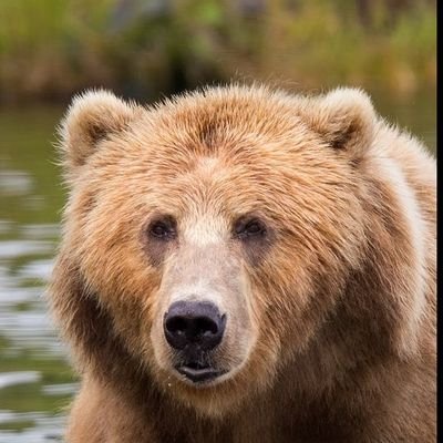 MTagramere's profile picture. Disciple of Celtic Spirituality & Lover of Nature, Music Art & Books