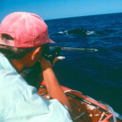 MarEvoCon's profile picture. Applying genetic and genomic approaches to research in marine evolution and conservation at the University of Groningen and the Center for Coastal Studies