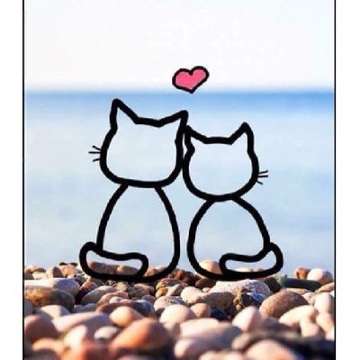 kmberlyorellana's profile picture.