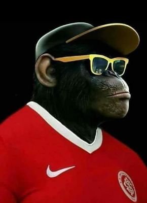 edinho_torres's profile picture. 