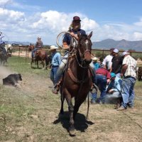Kinzie Robins 🇺🇸 (@kinzer23) 's Twitter Profile