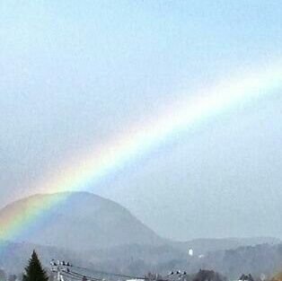 zenyou06tai's profile picture. 