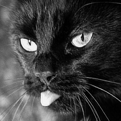 MarcNeiy's profile picture. smiling...running.....loving.....dancing