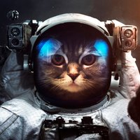 Selladore (@seiiadore) 's Twitter Profile