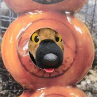 basil (@basil1203) 's Twitter Profile Photo