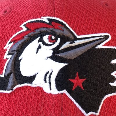 Woodpeckers Field Operations Crew, tweets focused on the sports turf industry and Woodpeckers, A-affiliate of the 2017 and 2022 World Champion Houston Astros