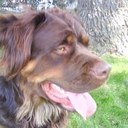 Toby Cooksey - @TobydogC - Twitter