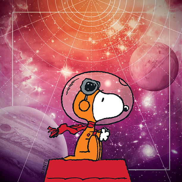 - #shoegaze
- #bicycles
- #wine
- #linux #ubuntu
- #snoopy
- #reading
Without rain nothing grows, learn to embrace the storms in your life.