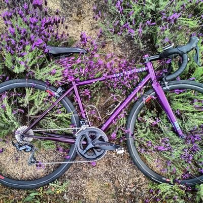 Soy guía de rutas en bicicleta e instructora en ciclismo urbano y transporte activo.
Colaboro con: @sinbici @fixidixi @bicisaludcolmen @bicicletosviaje