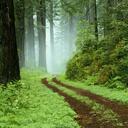 Dara Stuart - @Divanannies - Twitter