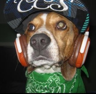 ikorneliai's profile picture. 