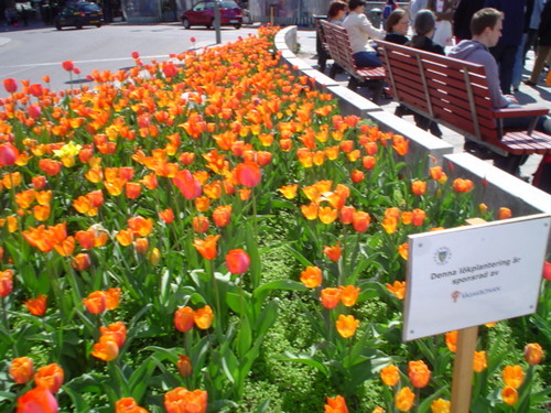 PKT2522's profile picture. RF&Telecom Engineer