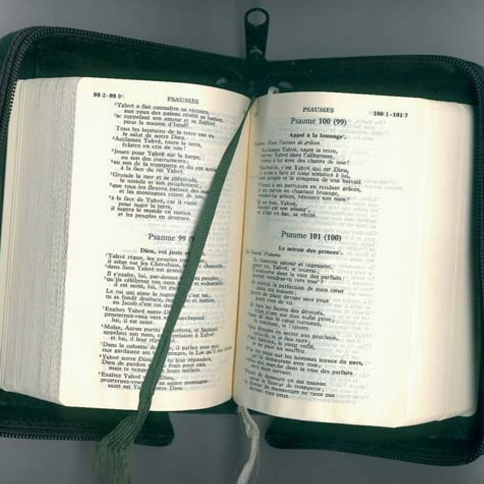 dvlptperso's profile picture. 