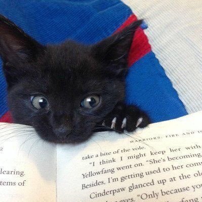 itsMeLeaa's profile picture. been here too long ✨mostly lurking, am friendly!