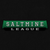 SaltmineLeague (@SaltmineTV) Twitter profile photo