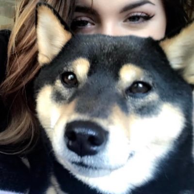 drogenammontag's profile picture. 