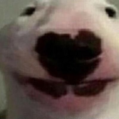 heckinuglyguy's profile picture. 