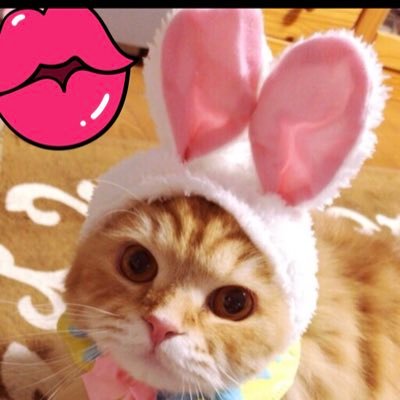 Mamarin カラオケスナックママりん いい感じにできてきましたよ は 可愛いトイレに フロアーは赤と黒を基調に 皆さん是非遊びに来て下さいね 東武東上線 上福岡駅西口徒歩3分 宝焼酎 Nippon ボトルも1500円でキープできるのよ Gackt Mamarin カラオケスナックママりん いい感じにできてきましたよ は 可愛いトイレに フロアーは赤と黒を基調に 皆さん是非遊びに来て下さいね 東武東上線 上福岡駅西口徒歩3分 宝焼酎 Nippon ボトルも1500円でキープできるのよ Gackt