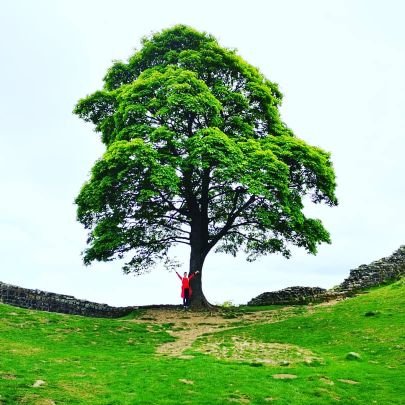 Miss_McLean_Eng's profile picture. Second in English.

A child who reads will become an adult who thinks.