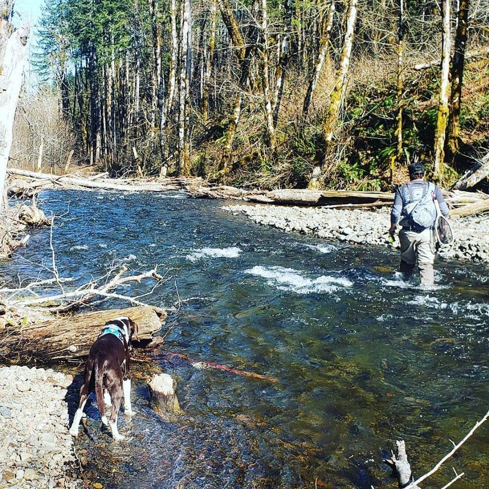 Fly Fishing and Forestry
Fly Angler - Hunter - Outdoorsman - Conservationist - Forestry Student - Semi Reformed Punk Rocker