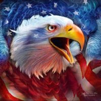 Aneta P 🇺🇸#MAGA❤️ (@patronik_k) 's Twitter Profile