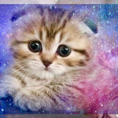 ほのる————ンさんのプロフィール画像
