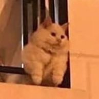 _Flooty's profile picture. yikes