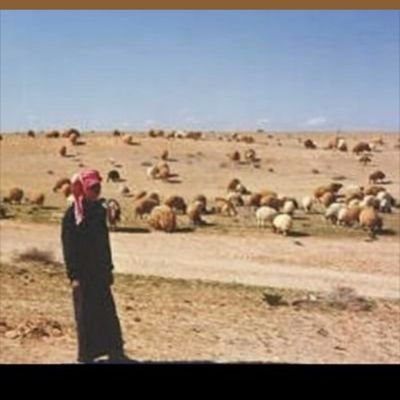 بابي انت وامي يا رسول الله