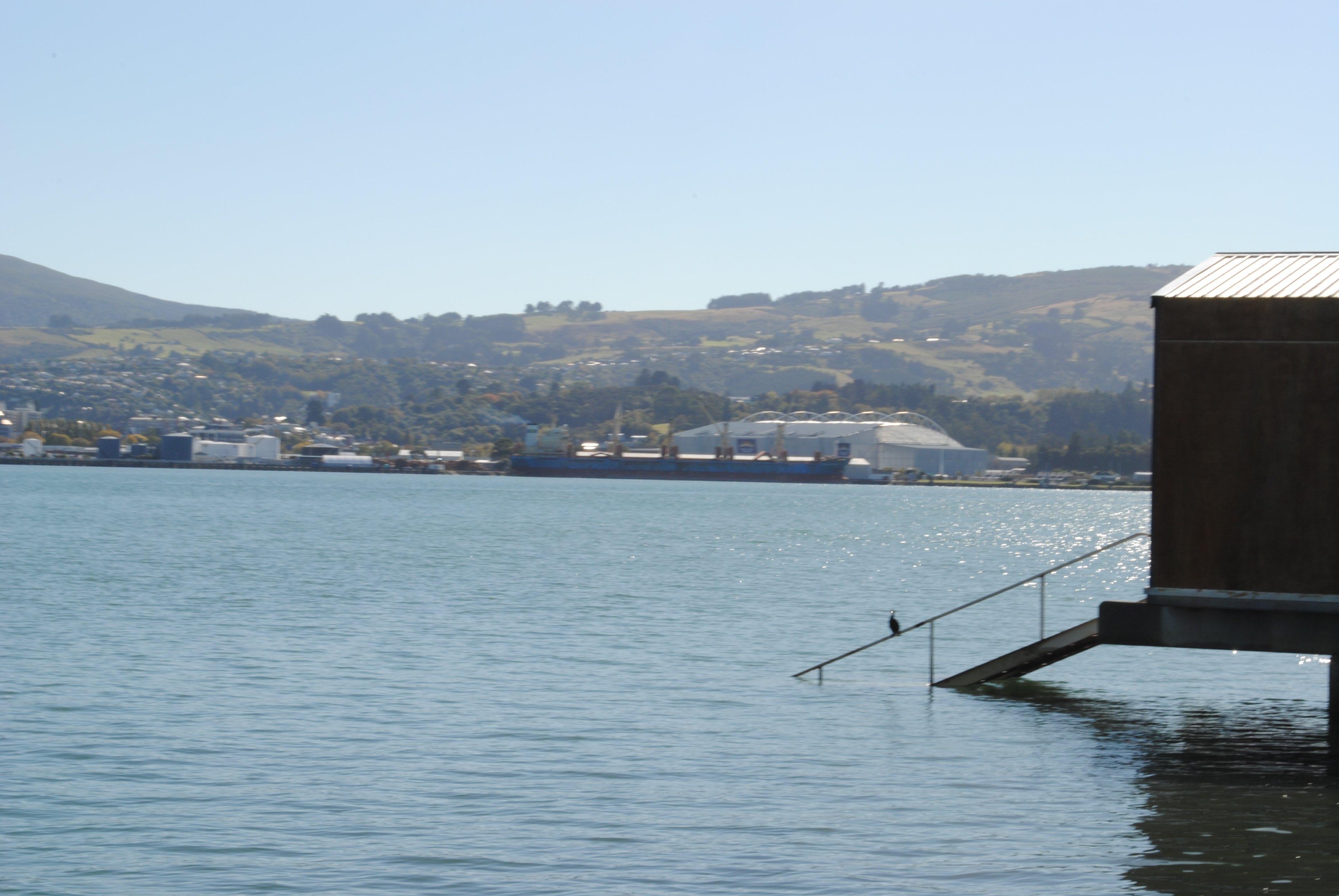 Tour the inner route of the Otago Peninsula. 
https://t.co/4Mh8xwnYmH (iPhone) or https://t.co/mt1rQLJbdp (Android)