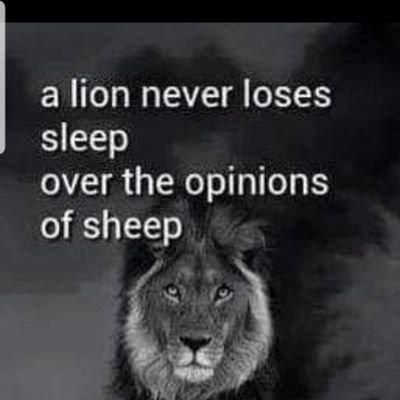 GregDempsey's profile picture. Aussie Patriot