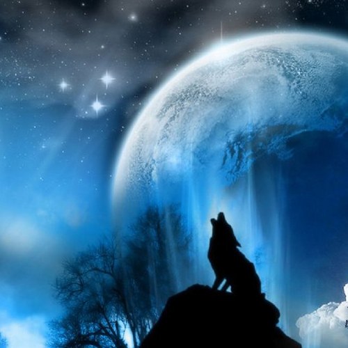 hiro_has's profile picture. しがないSE、人生も曲がり切った今日この頃