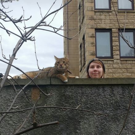 Annimrau's profile picture. Professional film viewer and freelancer of all things cinema. Rollerdrome arena announcer. Endorsed skillset includes: befriending any cat.