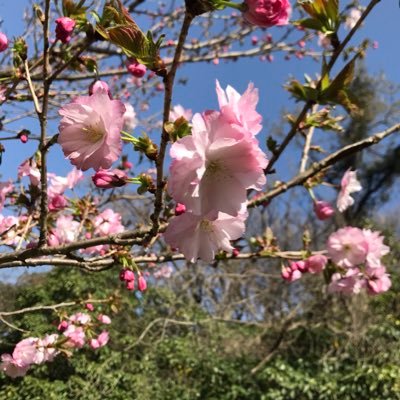 東京八王子  ダーツにはまってます。