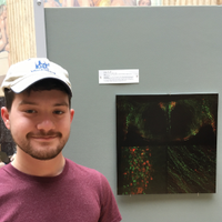 Josh Danoff (@joshdanoff) 's Twitter Profile Photo Josh Danoff (@joshdanoff) 's Twitter Profile Photo