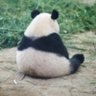 madsudu's profile picture. 