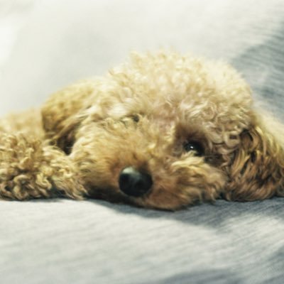 なかお ゆうきさんのプロフィール画像