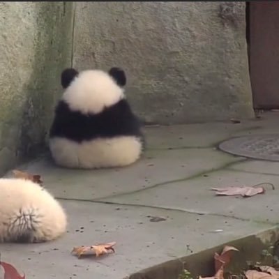 레서さんのプロフィール画像