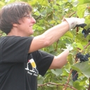 Susan Glickman - @SippingSusan - Twitter