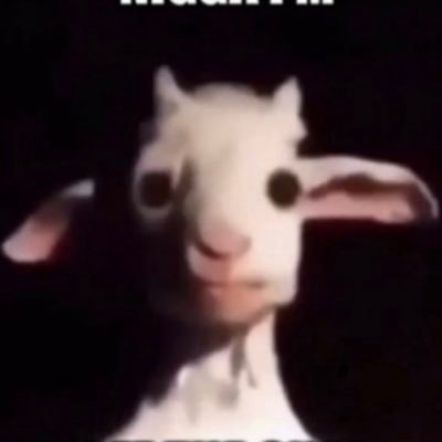 BrandonNabors1's profile picture. 