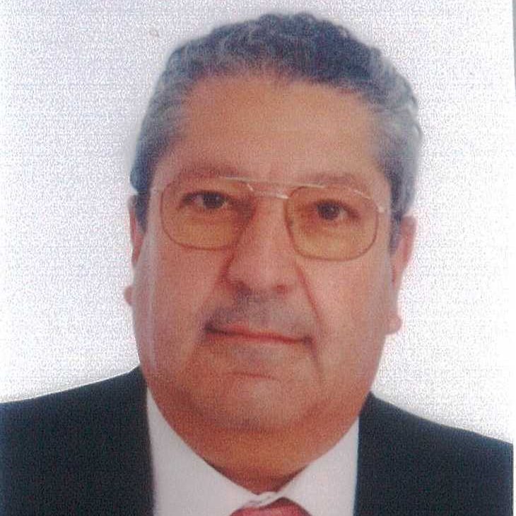 Presido la Asociacion Española de Transporte. Después de muchos años trabajando en Renfe y Adif, estuve en Cetren. Ingeniero de Caminos Canales y Puertos.