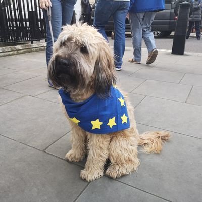 Brexit is a disaster; resist with all your might. Activate bitch mode at
https://t.co/9ORYtl5qM4
insta: BitchesagainstBrexit
