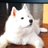 yukiのアイコン